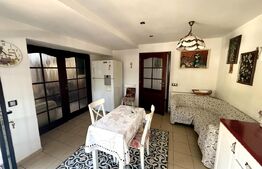 Vila deosebita langa padure in Plopu Nisipoasa. 