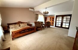Vila deosebita langa padure in Plopu Nisipoasa. 