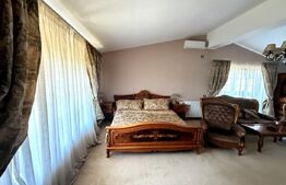 Vila deosebita langa padure in Plopu Nisipoasa. 