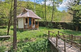 Casă de vacanță inima naturii, 80 mp — Breaza (cartier Podul Corbului), 