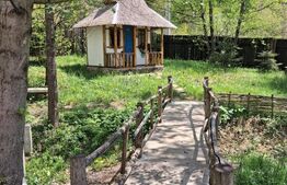 Casă de vacanță inima naturii, 80 mp — Breaza (cartier Podul Corbului), 