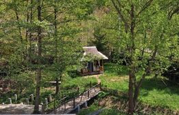 Casă de vacanță inima naturii, 80 mp — Breaza (cartier Podul Corbului), 