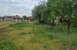 Casa tip duplex cu 2 apartamente P+1+M, 229.40 mp, zona Targsoru Vechi