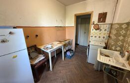 Apartament cu 2 camere, zona Nord - Cameliei, fara risc seismic.