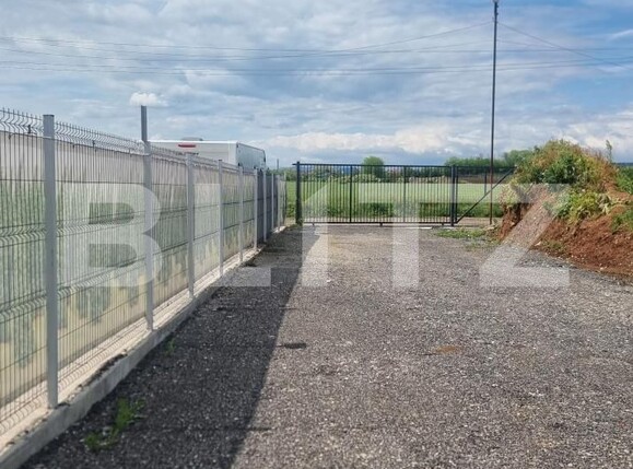 Spațiu industrial de închiriat Paulestii Noi - 196271SII | BLITZ Ploieşti | Poza3