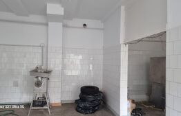 Spatiu industrial si birouri, 326 mp, zona Sud