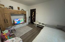 Apartament 2 camere, 42 mp, zona Malu Rosu 