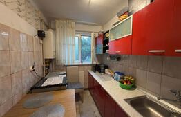Apartament 2 camere, 42 mp, zona Malu Rosu 