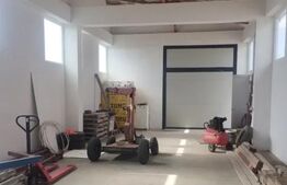Hală industrială 2026 de vânzare, 170 mp,4000 mp teren  Pleașa 