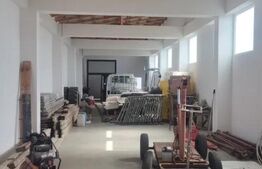Hală industrială 2026 de vânzare, 170 mp,4000 mp teren  Pleașa 