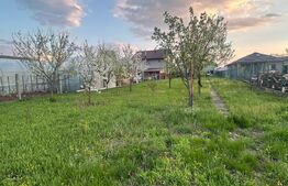  Casa 4 camere, 148 mp, teren 1.105 mp, parter, 2 intrari, zona Strejnicu