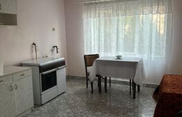 Casa 4 camere, 148 mp, teren 1.105 mp, parter, 2 intrari, zona Strejnicu
