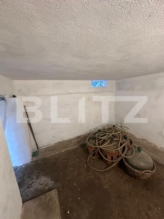 Casa de vânzare 4 camere Strejnicu - 197349CV | BLITZ Ploieşti | Poza17