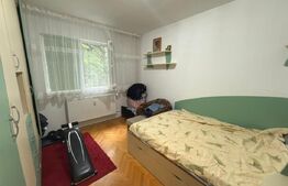 Apartament cu 2 camere, fara risc seismic, zona Nord - Nichita Stanescu