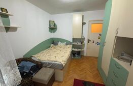 Apartament cu 2 camere, fara risc seismic, zona Nord - Nichita Stanescu