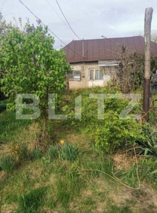 Teren de vânzare Dumbravesti - 197599TV | BLITZ Ploieşti | Poza4