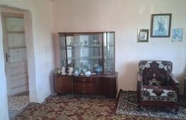Casa de vanzare cu livada, fanta, 98 mp, Str. Principala - Coada Malului