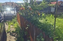 Casa de vanzare cu livada, fanta, 98 mp, Str. Principala - Coada Malului