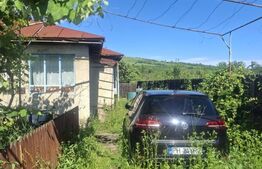 Casa de vanzare cu livada, fanta, 98 mp, Str. Principala - Coada Malului