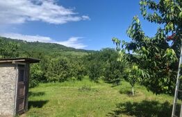 Casa de vanzare cu livada, fanta, 98 mp, Str. Principala - Coada Malului