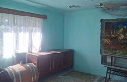 Casa de vanzare cu livada, fanta, 98 mp, Str. Principala - Coada Malului