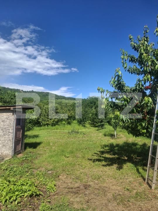 Casa de vânzare 4 camere Coada Malului - 198021CV | BLITZ Ploieşti | Poza14