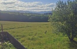 Cabana Tip A, 100 mp, zona Teisani - Slanic