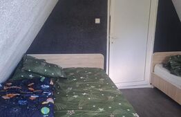 Cabana Tip A, 100 mp, zona Teisani - Slanic