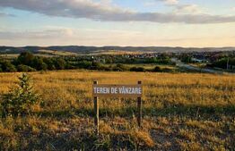 Teren 5.000 mp de vânzare – acces cale ferată secundară – oportunitate investiți