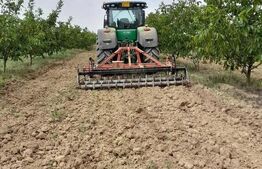 Plantatie de nuci pe rod, 14 ha, 2.000 pomi