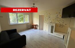 Apartament cu 2 camere, 40 mp, zona Malu Rosu 
