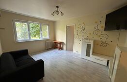Apartament cu 2 camere, 40 mp, zona Malu Rosu 