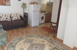 Casă individuală 70 mp – Curte de 249 mp, zonă Bușteni 