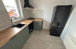 Apartament cu 3 camere + garaj-in vila-90 mp, zona Centrala 