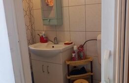 Casă P+1, 280 mp, zona Cantacuzino 