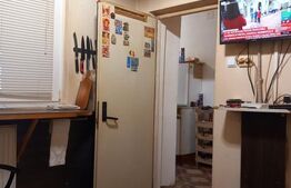 Casă P+1, 280 mp, zona Cantacuzino 
