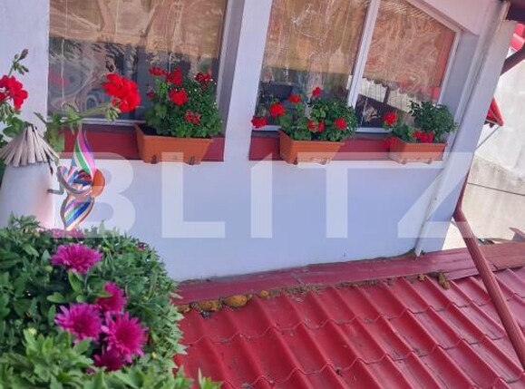 Casa de vânzare 3 camere Cantacuzino - 199071CV | BLITZ Ploieşti | Poza19
