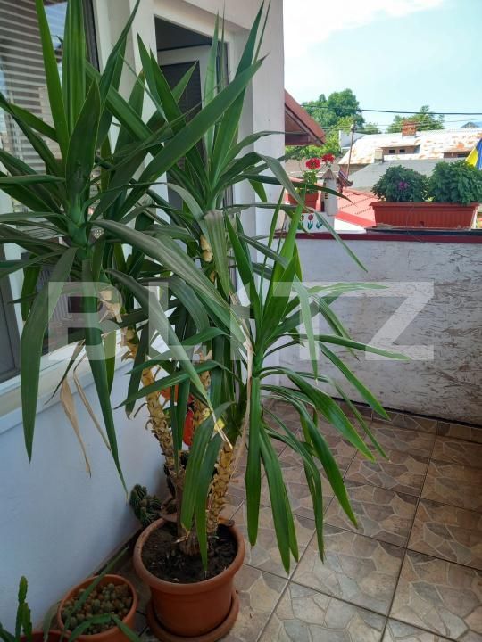 Casa de vânzare 3 camere Cantacuzino - 199071CV | BLITZ Ploieşti | Poza21