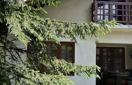Vilă P+M în Bușteni | 5 Dormitoare (10+ Loc. Cazare) - Business la Cheie @turism