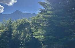 Teren intravilan, 400 mp, Bușteni Cartier Zamora – Panoramă spre Bucegi