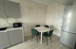 Apartament cu 2 camere, 56 mp, zona Albert