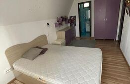 Casa de inchiriat, 150 mp, zona Cantacuzino