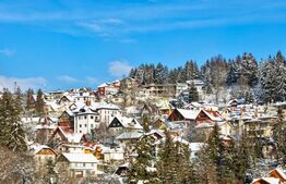 Pensiune 6 camere duble + 1 apartament + garsoniera Sinaia