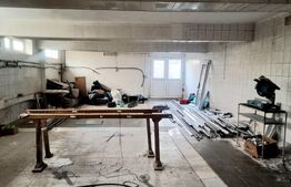 Spațiu mixt business + locuință | 420 mp utili | D+P+M | Acces camion /Ploiesti