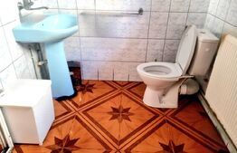 Spațiu mixt business + locuință | 420 mp utili | D+P+M | Acces camion /Ploiesti