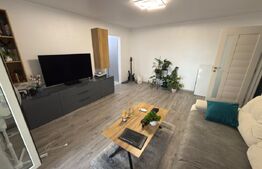 Apartament 2 camere, 50 mp, zona Vest