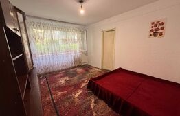 Apartament 2 camere, 46 mp, zona Malu Rosu