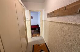 Apartament 2 camere, 46 mp, zona Malu Rosu
