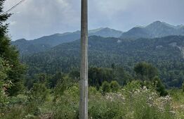 Teren intravilan, 1000 mp, proiect duplex P+E, zona Sinaia - Zamora