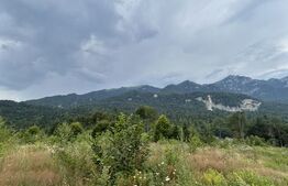 Teren intravilan, 1000 mp, proiect duplex P+E, zona Sinaia - Zamora